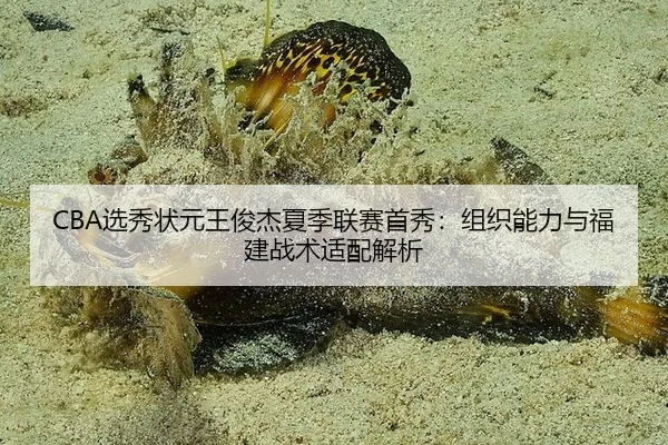 CBA选秀状元王俊杰夏季联赛首秀：组织能力与福建战术适配解析